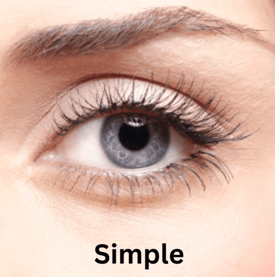 Viralaluna™  Magnetic Lashes