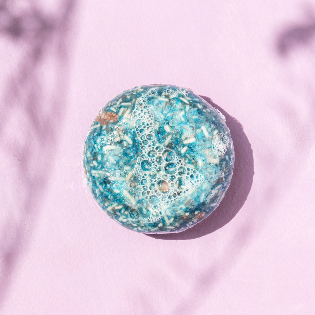 Blueberry Shampoo & Conditioner Bundle
