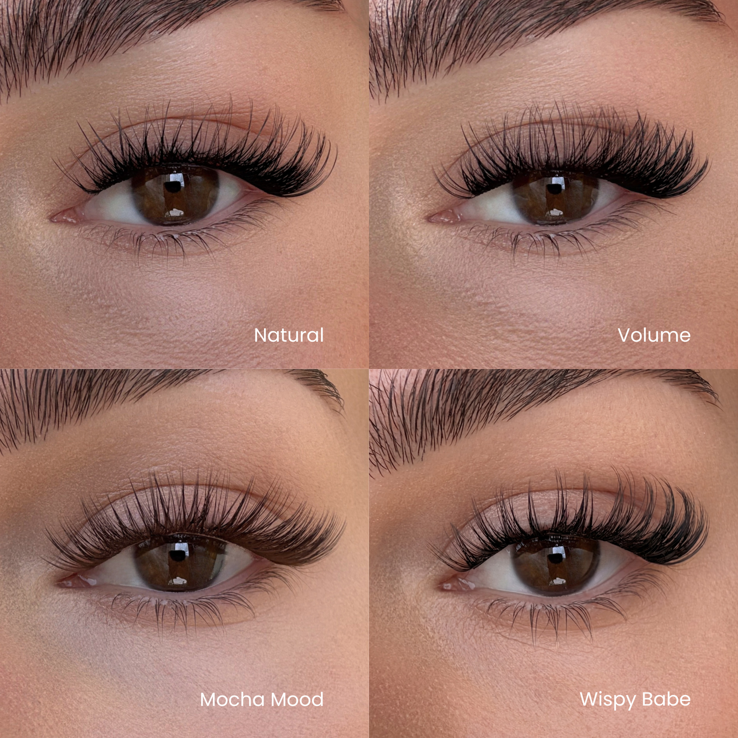False Eyelash Set