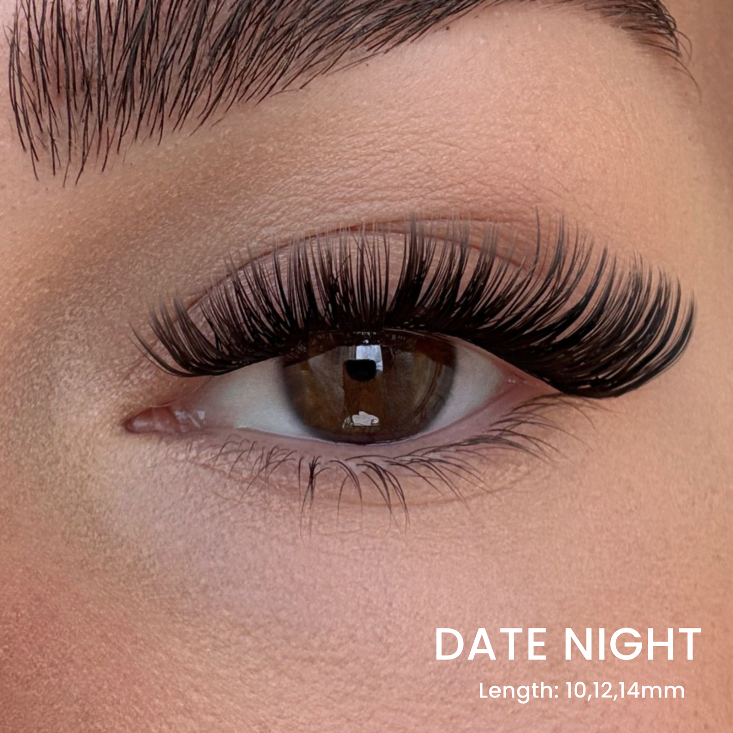 False Eyelash Set