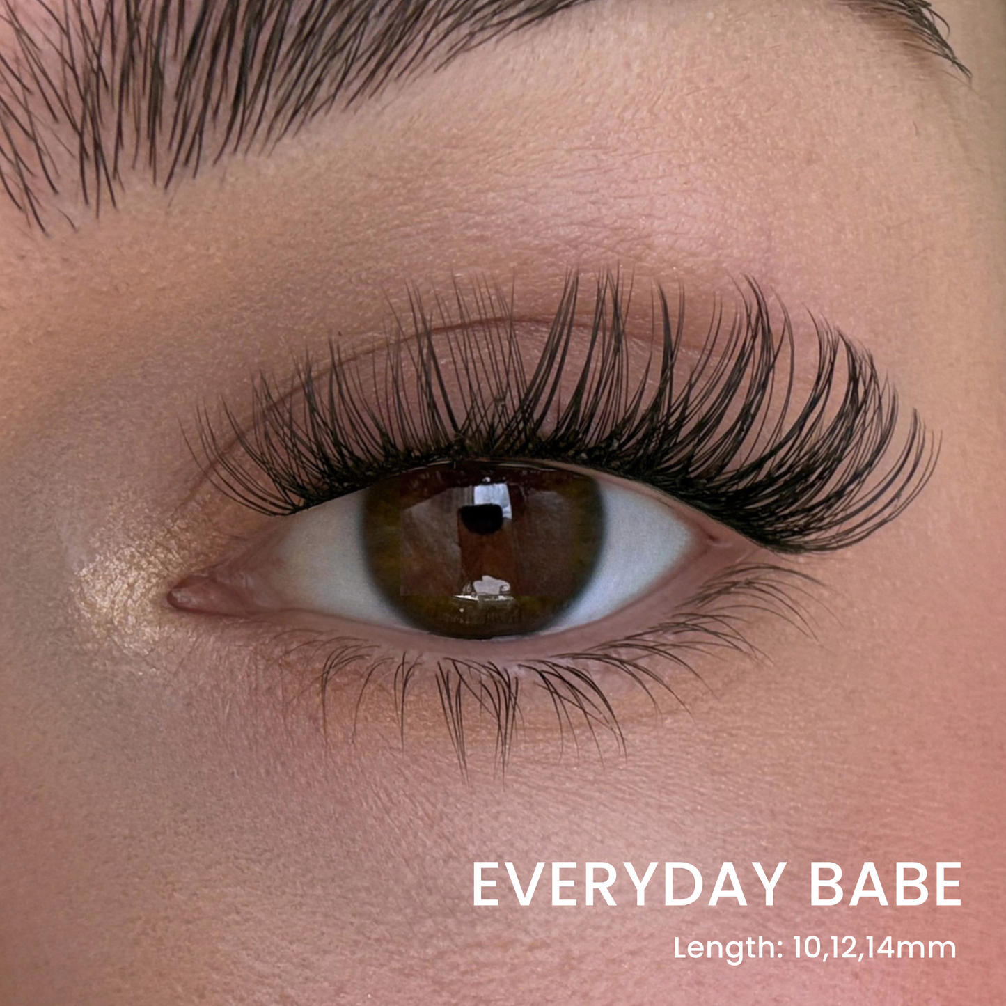 False Eyelash Set