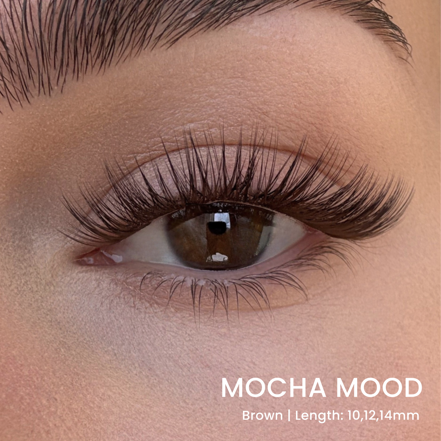 False Eyelash Set