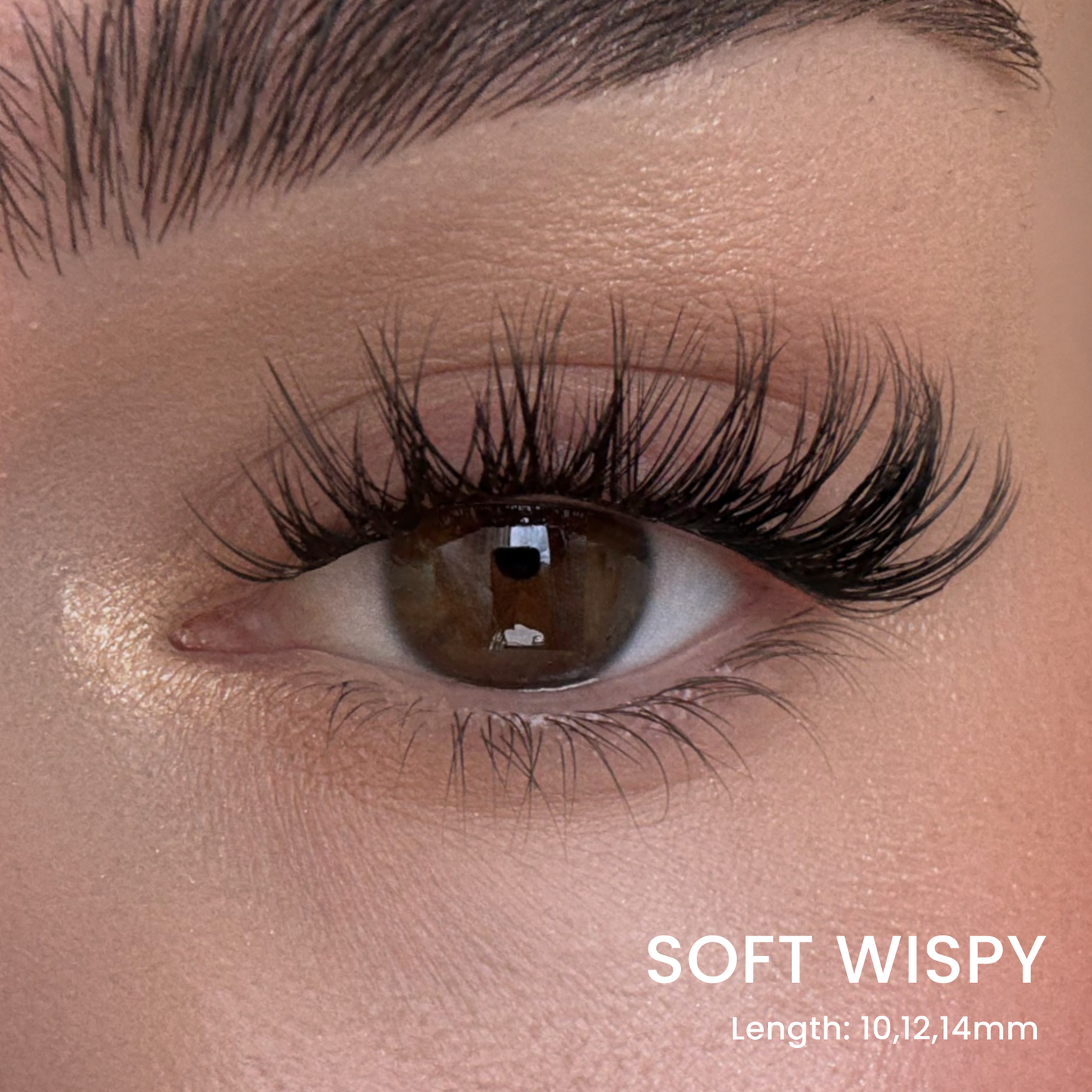 False Eyelash Set