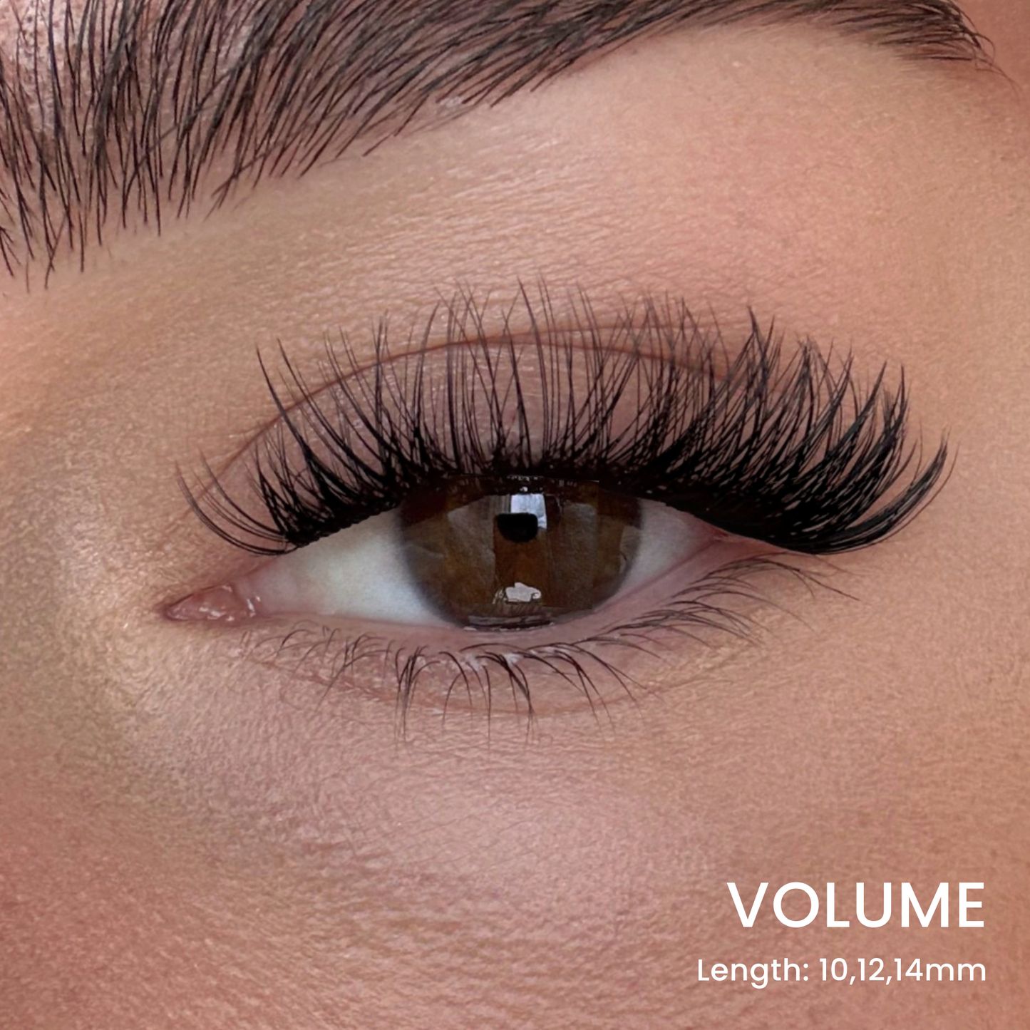 False Eyelash Set