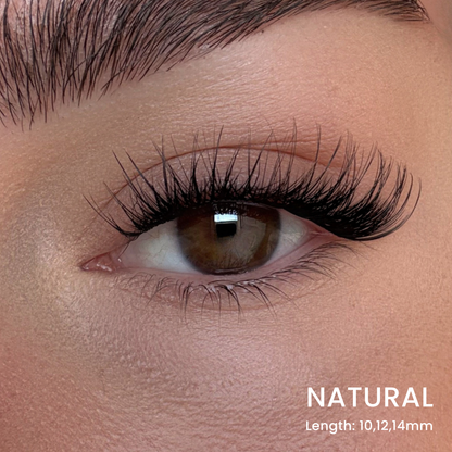 False Eyelash Set