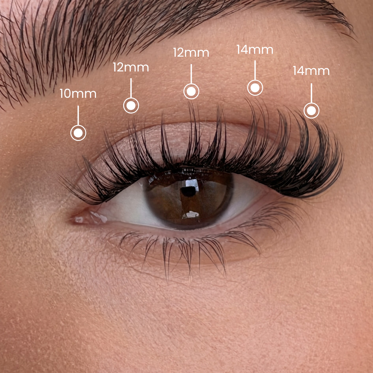 False Eyelash Set