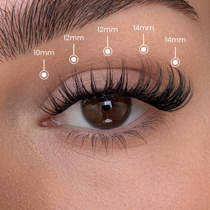 False Eyelash Set